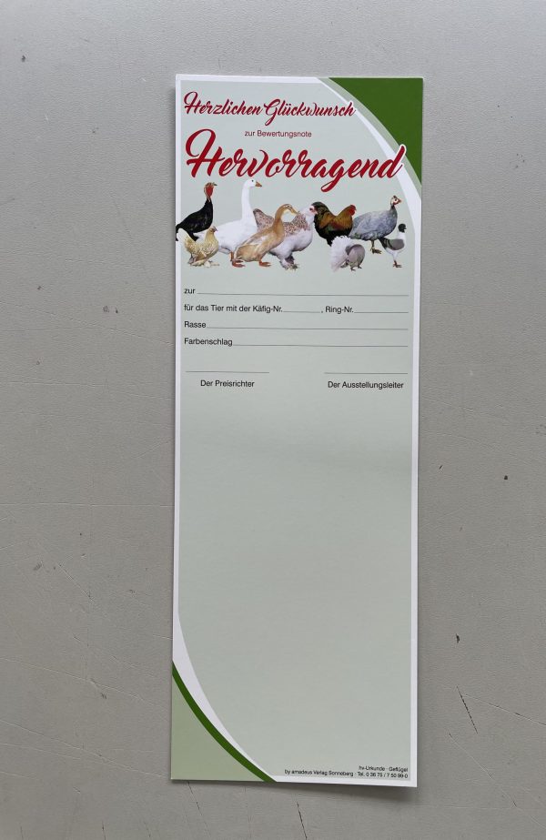 Urkunde "Hervorragend"  10 Stück