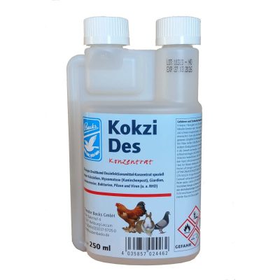 2446-KokziDes-k