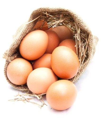 Private Hühnerhaltung einfach gemacht mit 5 Hühnern für das eigene Frühstücksei