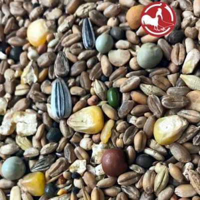 Allroung_Körnermix Allroung_Körnermix