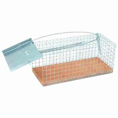 RatteKäfig
