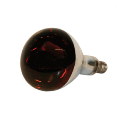 infrarotlampe infrarotlampe